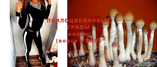 ешки Алексеевка