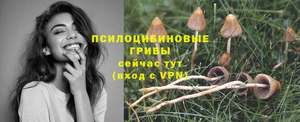 2c-b Абдулино