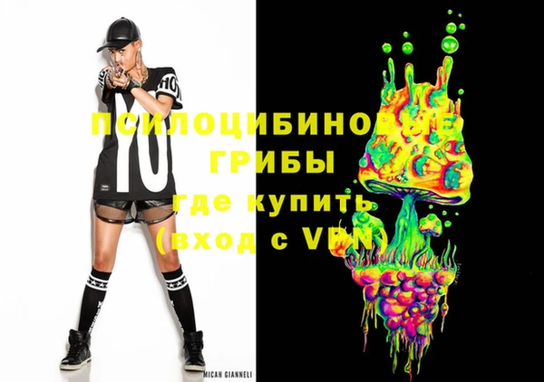 прущие грибы Алзамай
