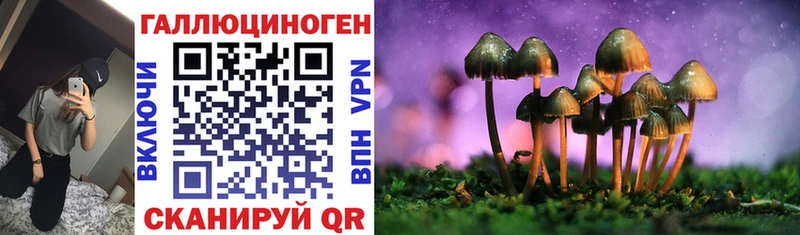 OMG маркетплейс как найти закладки Кизилюрт Галлюциногенные грибы Psilocybe