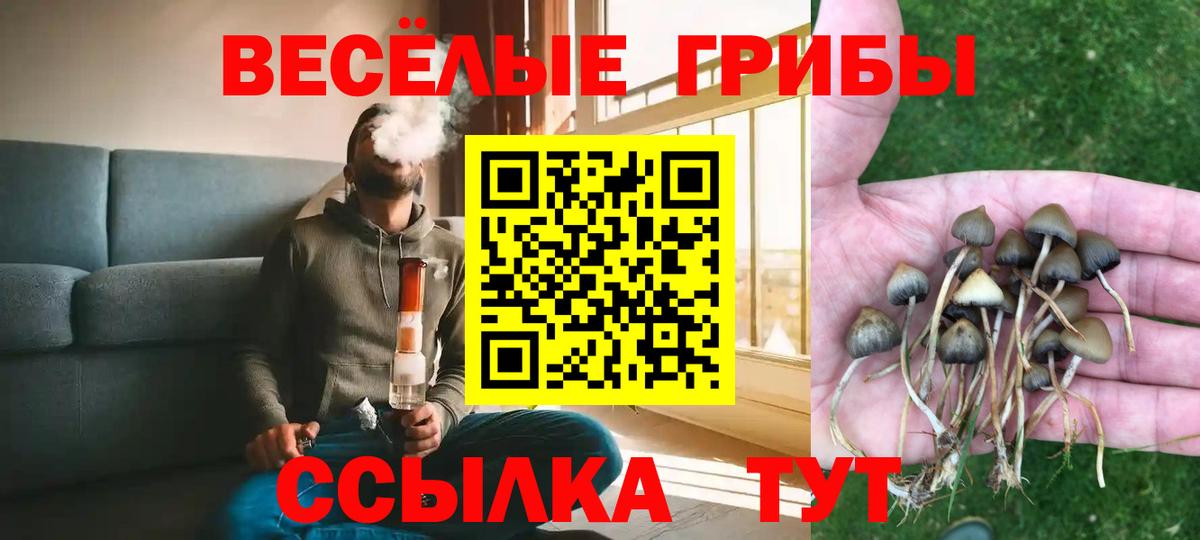 Кизилюрт  Псилоцибиновые грибы Cubensis  Галлюциногенные грибы Cubensis  Вход с VPN 